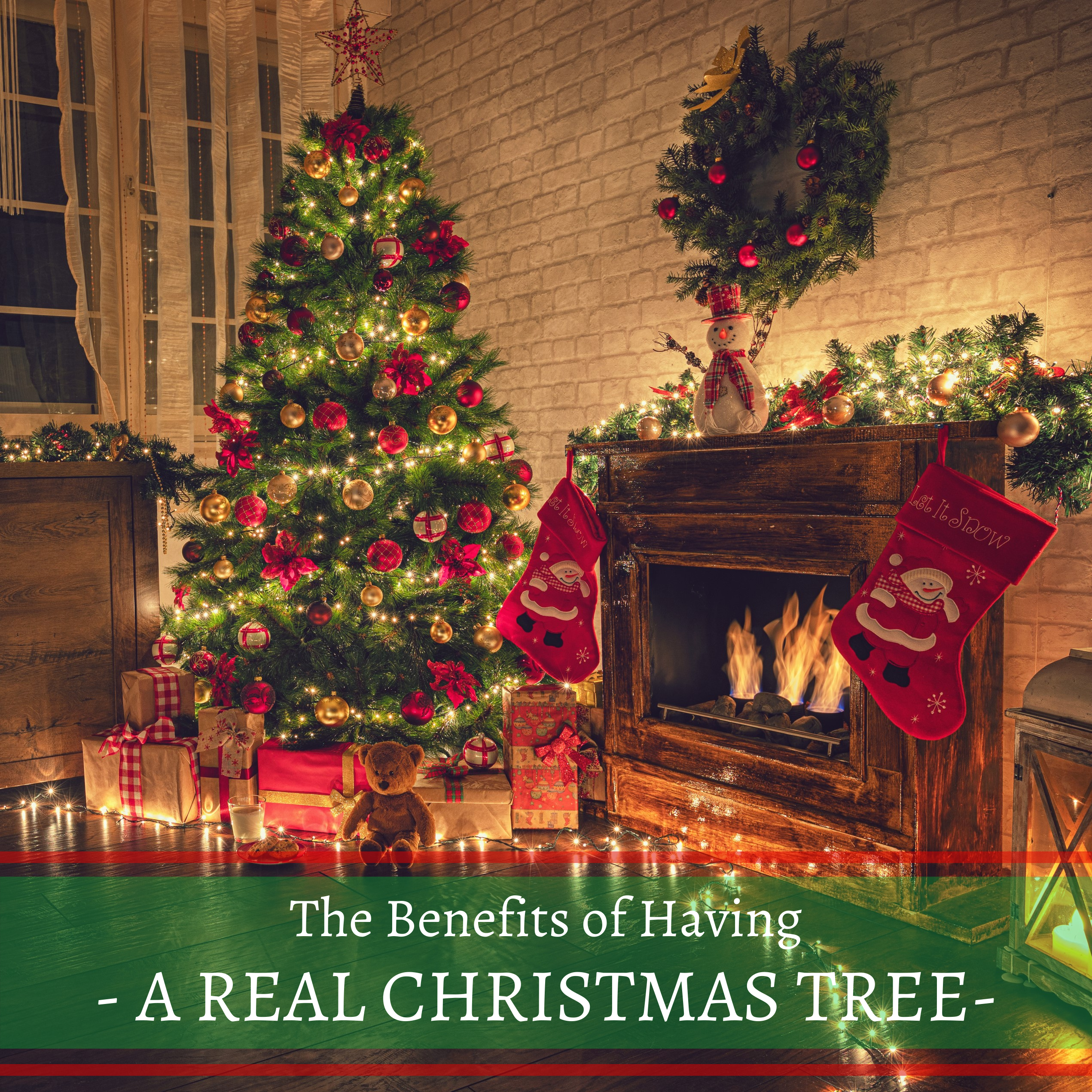 Christmas Tree Title Square 2